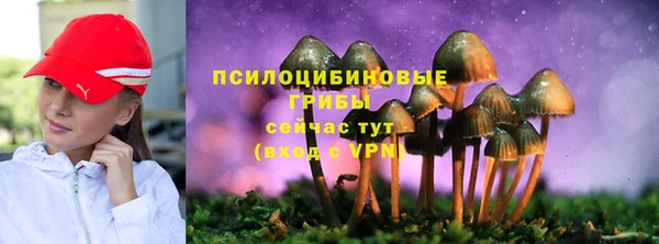 PSILOCYBIN Куйбышев