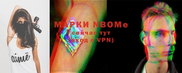 гашик Лабытнанги