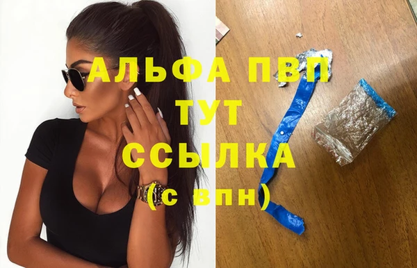 прущие грибы Красноперекопск