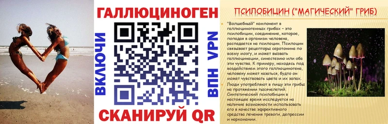 хочу наркоту  Спасск  Псилоцибиновые грибы Psilocybe 