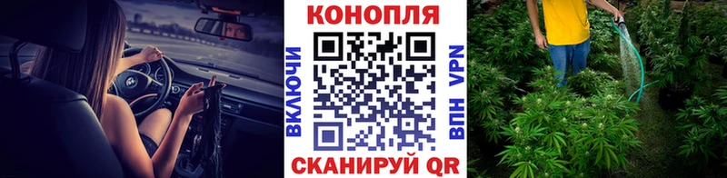 продажа наркотиков  Спасск  Марихуана конопля 
